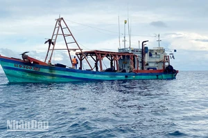 Tàu KG 93003 TS đang bị dẫn giải về cảng thuộc Bộ Tư lệnh Vùng Cảnh sát biển 4 ở thành phố Phú Quốc.