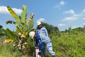 Tổ chức cắm ranh mốc dự án cao tốc Thành phố Hồ Chí Minh-Mộc Bài (ảnh: QUÝ HIỀN)