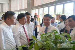 Phó Thủ tướng Chính phủ Lê Thành Long cùng lãnh đạo tỉnh Quảng Nam tham quan gian hàng sâm Ngọc Linh trưng bày tại hội nghị.