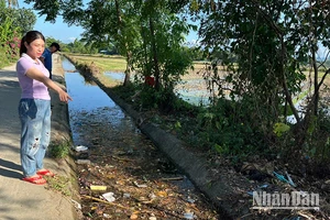 Người dân sống bên đoạn cuối kênh thủy lợi N24 Bắc Phú Ninh chảy qua địa phận khối phố Hương Trà Đông, phường Hòa Hương, thành phố Tam Kỳ bức xúc vì ô nhiễm môi trường.