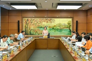 Đại biểu Quốc hội thảo luận ở tổ về dự thảo Luật sửa đổi, bổ sung một số điều của Bộ luật Hình sự. (Ảnh: THỦY NGUYÊN)