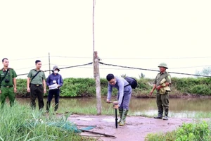 Khu vực bãi bồi Cồn Xanh (huyện Nghĩa Hưng) - nơi tỉnh Nam Định đang thực hiện đo đạc đất để bàn giao cho nhà đầu tư Tập đoàn Xuân Thiện. (Ảnh: DUY HƯNG)