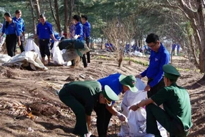 Lực lượng đoàn viên, thanh niên dọn dẹp rác bảo vệ môi trường biển. (Ảnh: HOÀNG TRUNG)