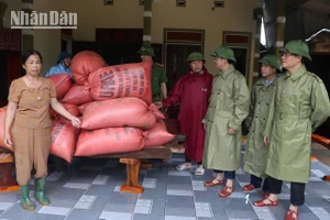 Lãnh đạo huyện Cẩm Xuyên đi kiểm tra, hỗ trợ và động viên các hộ dân chủ động ứng phó với tình hình mưa lũ.