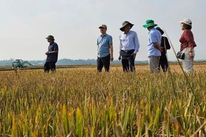 Đoàn công tác kiểm tra về tình hình hạn hán, thiếu nước tại các tỉnh Đắk Lắk, Gia Lai và Kon Tum. (Nguồn: Cục Quản lý và Xây dựng công trình thủy lợi)