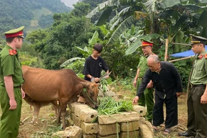 Người có uy tín ở Sơn La thường xuyên phối hợp các lực lượng tuyên truyền, vận động người dân phát triển kinh tế.