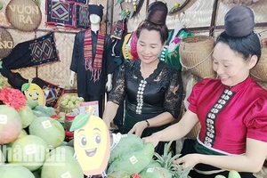 Tại Ngày hội Xoài Yên Châu năm nay có 15 gian trưng bày các sản phẩm đặc sản của các xã và huyện.