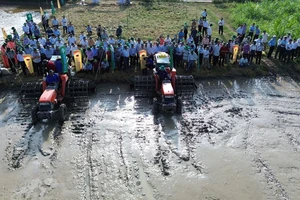 Nhiều nông dân đến xem trình diễn mô hình trồng lúa chất lượng cao, phát thải thấp tại huyện Gò Công Tây (Tiền Giang).