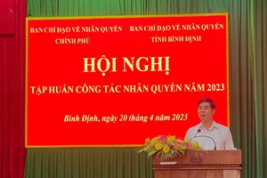 Đồng chí Lâm Hải Giang, Phó Chủ tịch UBND tỉnh Bình Định phát biểu tại hội nghị.