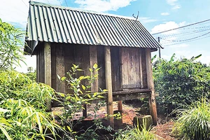 Những kho lúa như thế này đang ngày càng thưa dần cùng với đời sống mới của người Gia Rai ở tỉnh Gia Lai.