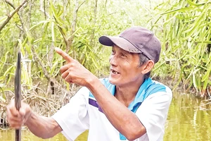 Ông Mai Lam Phương với niềm vui từ vườn thanh long trên vuông tôm của mình. 