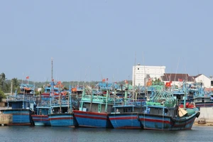 Bình Định đang siết chặt kiểm soát tàu cá, bảo đảm tất cả tàu thuyền khai thác đúng vùng được phép.