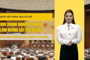 [Video] Thời sự 24h ngày 17/5/2025: Quốc hội thông qua cơ chế cho doanh nghiệp tư nhân làm đường sắt tốc độ cao