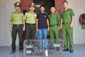 Kiểm lâm thành phố Huế đang thu "quả ngọt" từ công tác tuyên truyền toàn dân cùng tham gia bảo vệ động vật hoang dã.