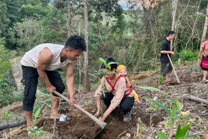 Người dân huyện Nậm Pồ hưởng ứng chương trình "trồng một tỷ cây xanh" để bảo vệ môi trường, tăng tỷ lệ che phủ tại địa phương.
