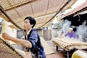 Sản xuất tại làng nghề miến Cự Ðà. Ảnh: Thành Phương