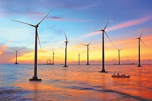 Bình minh trên công trình điện gió Bạc Liêu. Ảnh: Thanh Toàn