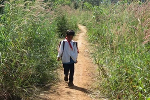  Để đến trường học chữ, con em đồng bào dân tộc ở thôn Ea Rớt, xã Cư Pui, huyện Krông Bông, tỉnh Đác Lắc phải băng rừng, lội suối.