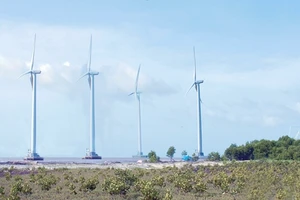 10 tua-bin của dự án điện gió Bạc Liêu đã phát lên lưới điện quốc gia hơn 20 triệu kW giờ, đạt doanh thu 35 tỷ đồng. Ảnh: Hương Nguyên