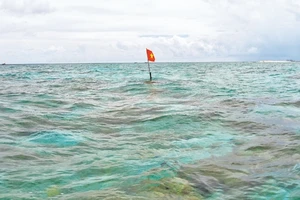 Ảnh Vũ Anh Tuấn