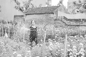 Bà Tân bên vườn hoa nhỏ của mình, sau khi đã hoàn tất công việc làng xóm.