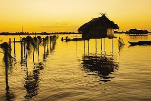 Về rẫy ăn còng... 
