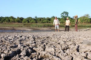 Hồ Buôn Bua có dung tích một triệu m3 đã cạn phơi đáy nhiều tháng nay.