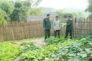 Cán bộ Đoàn KT-QP 345 hướng dẫn đồng bào trồng rau theo hộ gia đình.