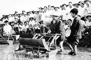 Chủ tịch Hồ Chí Minh dùng thử máy cấy lúa cải tiến tại trại thí nghiệm trồng lúa Sở Nông lâm Hà Nội (16-7-1960).