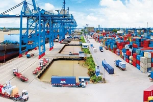 Tổng Công ty Tân Cảng Sài Gòn đi đầu trong đầu tư nâng cao năng lực khai thác cảng công-ten-nơ và cung cấp dịch vụ logistics. Ảnh: Hoàng Hải