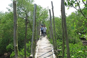 Khu du lịch sinh thái Cồn Vành (Thái Bình).