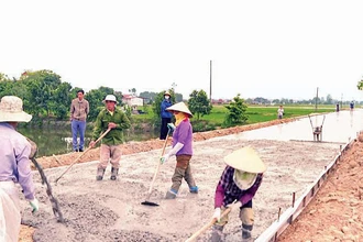 Làm đường bê-tông nông thôn tại huyện Gia Bình (Bắc Ninh). 