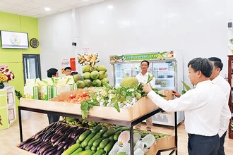 Nhiều sản phẩm nông nghiệp được trưng bày, giới thiệu tại Trung tâm quảng bá nông sản Hoài Ân.