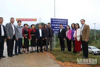 Các đại biểu khánh thành đường điện thắp sáng tại thôn Động Sơn, xã Chân Sơn, huyện Yên Sơn, tỉnh Tuyên Quang.