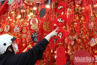 Hơn một tháng nữa mới đến Tết Giáp Thìn 2024, dọc hai bên đường Hải Thượng Lãn Ông (quận 5, Thành phố Hồ Chí Minh ) đã bắt đầu bày bán những mặt hàng trang trí Tết.
