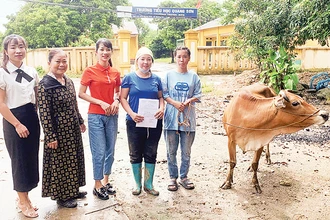 Hội viên phụ nữ xóm Trung Sơn, xã Quang Sơn, huyện Đồng Hỷ (Thái Nguyên) được hỗ trợ bò sinh sản để phát triển kinh tế. (Ảnh Thu Hà)