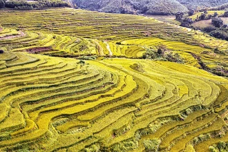 Ruộng bậc thang xã Miền Ðồi, huyện Lạc Sơn, tỉnh Hòa Bình hứa hẹn sẽ là điểm đến du lịch hấp dẫn. (Ảnh TRỌNG ÐẠT)
