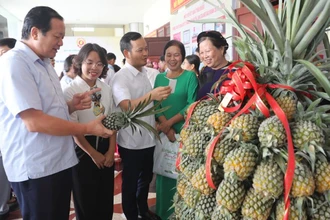 Các đại biểu tham quan gian trưng bày sản phẩm dứa Lạng Giang.