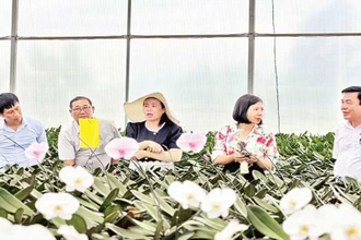Vườn lan Hồ Điệp của gia đình chị Diệp Hồng Trang trồng tại xã Lương Sơn, huyện Ninh Sơn (Ninh Thuận), mỗi năm lãi 1,8 tỷ đồng.