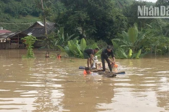 Các lực lượng hỗ trợ người dân khu vực ngập úng tại bản Phứa Cón, phường Chiềng An, thành phố Sơn La di chuyển tài sản đến nơi an toàn.