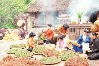 Tái hiện cảnh làm thuốc từ thảo dược tại làng Sinh Dược, xã Gia Sinh, huyện Gia Viễn. (Ảnh Sở Du lịch Ninh Bình) 