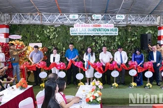 Các đại biểu cắt băng ra mắt Trung tâm Khởi nghiệp sáng tạo tỉnh Đắk Lắk.