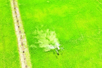 Nông dân xã Buôn Choáh, huyện Krông Nô, tỉnh Đắk Nông sử dụng máy bay không người lái chăm sóc lúa.