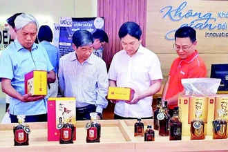 Các đại biểu tham quan các dự án, sản phẩm khởi nghiệp.