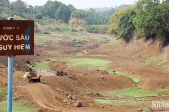 Hiện nay, trên địa bàn tỉnh Đắk Nông đã có 18 công trình thủy lợi cạn kiệt nguồn nước, hơn 3.300ha cây trồng bị ảnh hưởng do hạn hán.