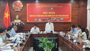 Ông Trương Cảnh Tuyên, Phó Chủ tịch Thường trực Ủy ban nhân dân tỉnh Hậu Giang phát biểu tại hội nghị