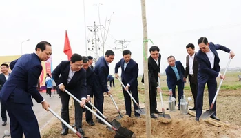 Bí thư Tỉnh ủy Bắc Ninh dự Tết trồng cây tại thị xã Quế Võ.