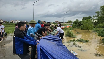 Người dân và các lực lượng chức năng chung tay gia cố đê bối Đầu Hàn, khu vực phường Hòa Long, thành phố Bắc Ninh, khi nước sông Cầu dâng cao.