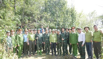 Lãnh đạo tỉnh Lào Cai trực tiếp vào hiện trường kiểm tra, chỉ đạo công tác chữa cháy rừng tại xã Tả Van, thị xã Sa Pa (Lào Cai).