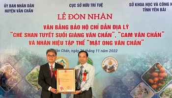 Cục Sở hữu trí tuệ trao giấy chứng nhận cho huyện Văn Chấn.